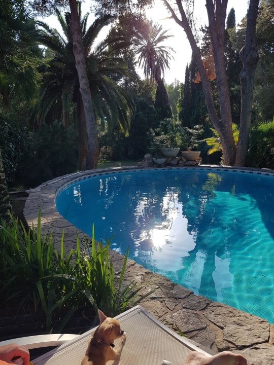 Pool Lago Garden