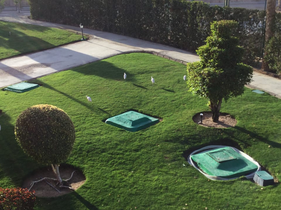 Gartenanlage Jaz Dar EL Madina