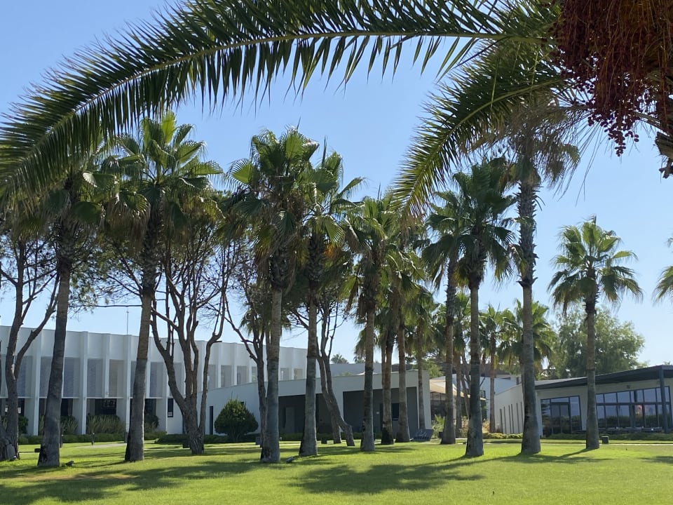 Außenansicht Paloma Finesse