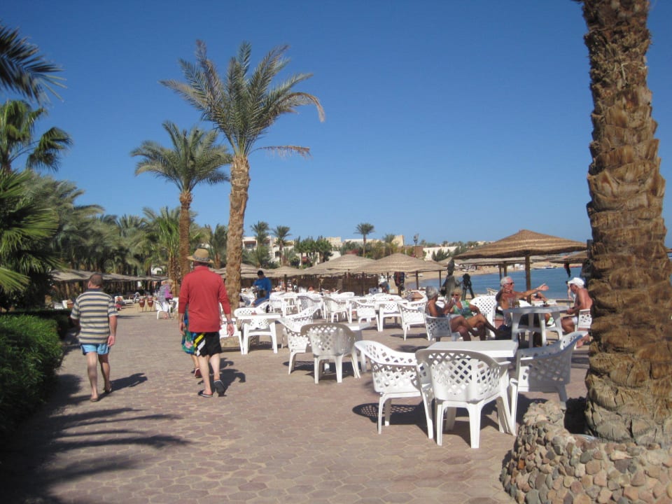 Beachbar Terrasse Fort Arabesque Resort, Spa & Villas