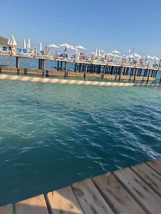 Strand Dizalya Palm Garden