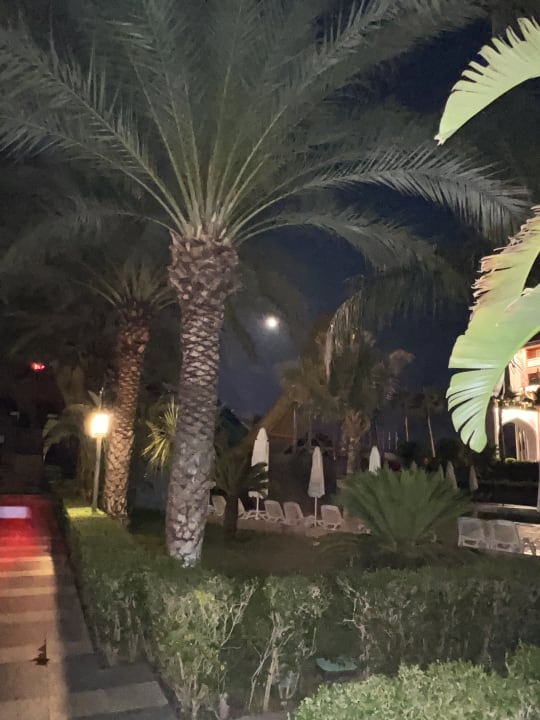 Außenansicht Royal Taj Mahal Hotel