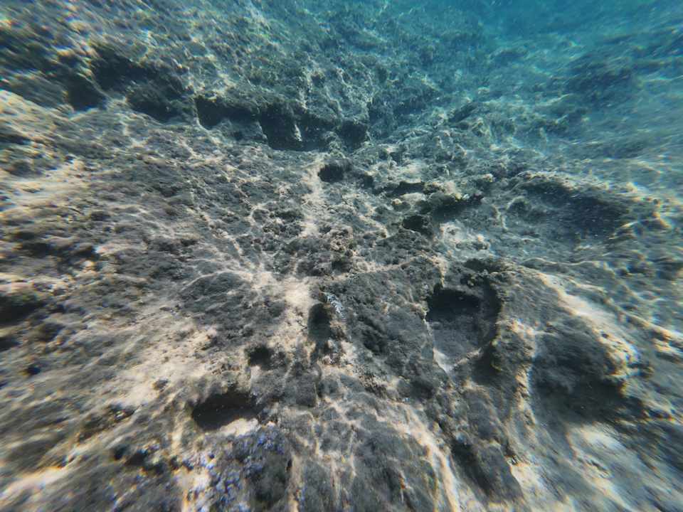 Strand allsun Hotel Carolina Mare