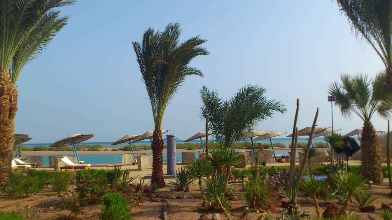20 m bis zum Meer Sheraton Miramar Resort El Gouna