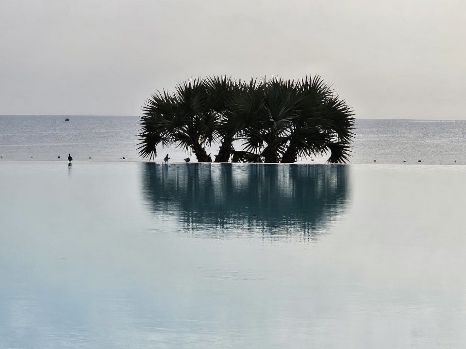 Pool Makadi Spa - Adults only