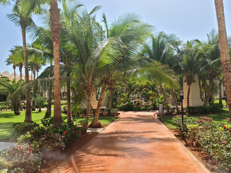 Gartenanlage Hotel Riu Touareg