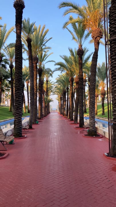 Gartenanlage Monachus Family Resort Sorgun