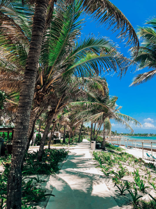 Garten Akumal Bay Beach & Wellness Resort