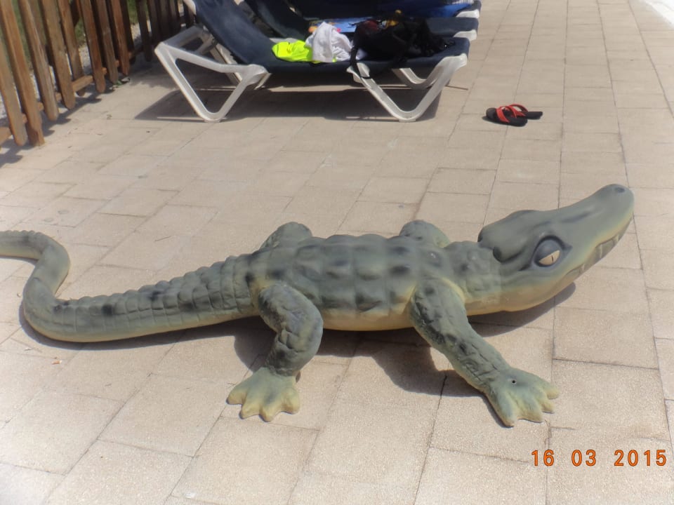 Hotel Grand Palladium Bávaro Suites Resort & Spa Grand Palladium Select Bávaro Resort & Spa