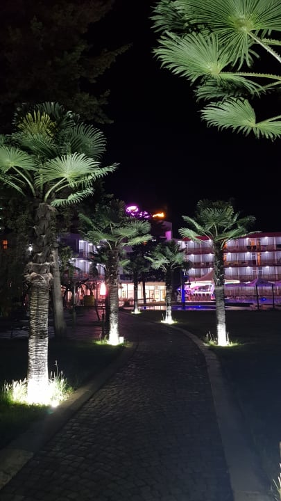 Außenansicht Flamingo Beach Hotel