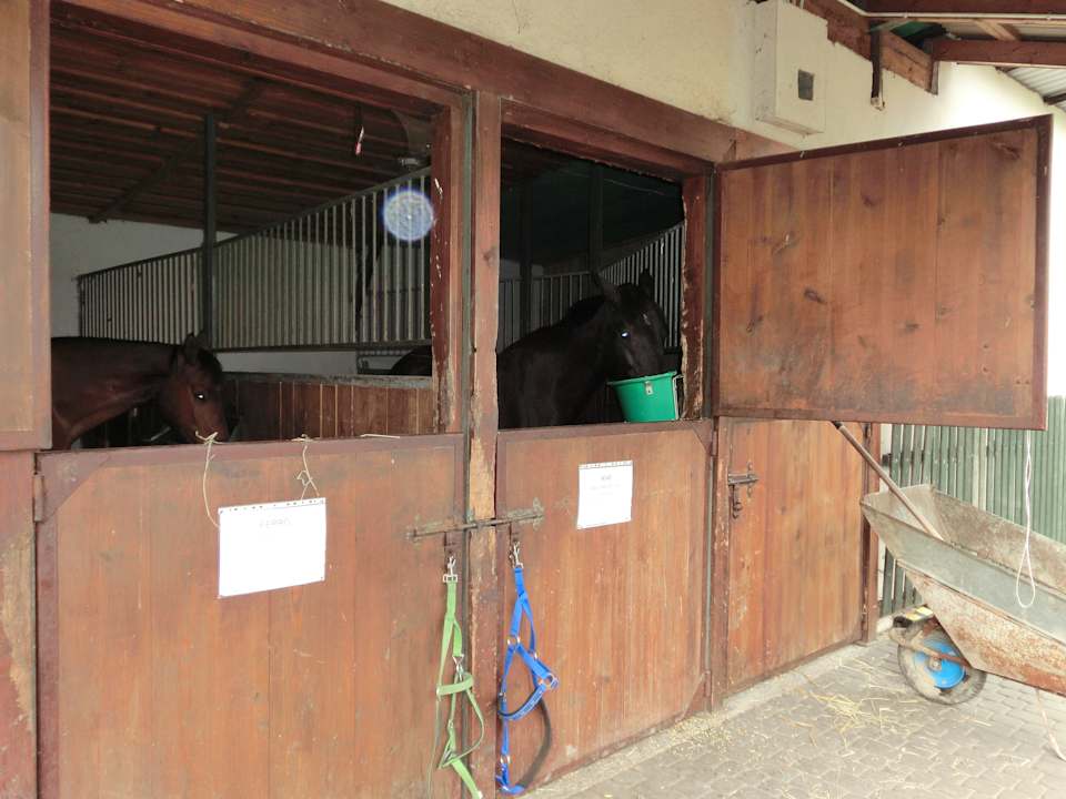 Если б не запах Hotel Stara Szmergielnia