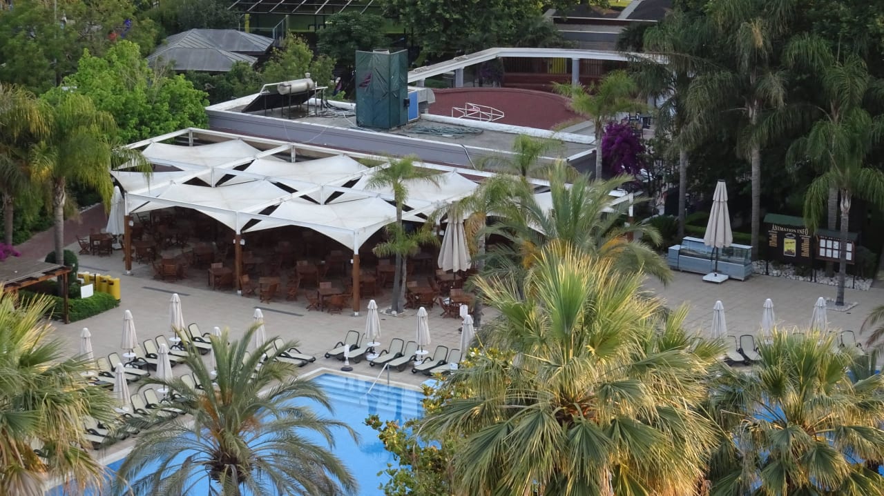 Pool Side Star Elegance