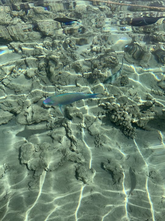 Strand Makadi Spa - Adults only