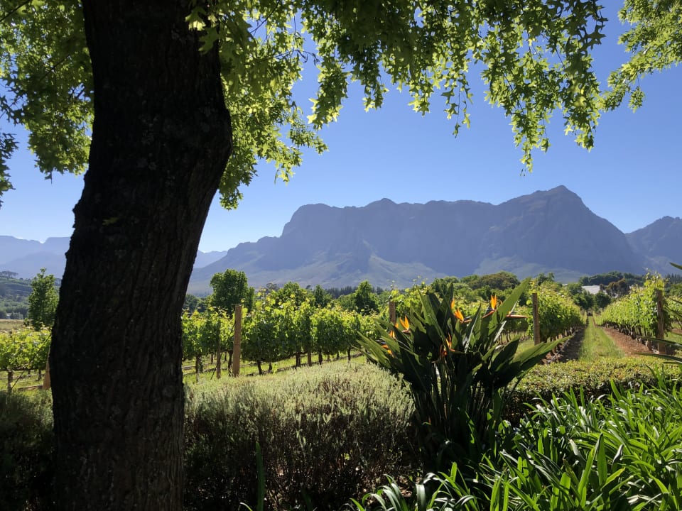 Ausblick Guesthouse Delaire Graff Lodges & Spa