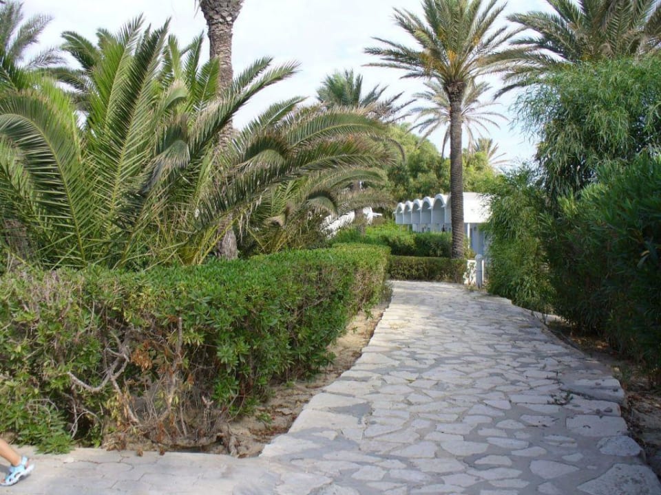 Drozka z plazy Hotel Coralia Jawhara Palm Beach