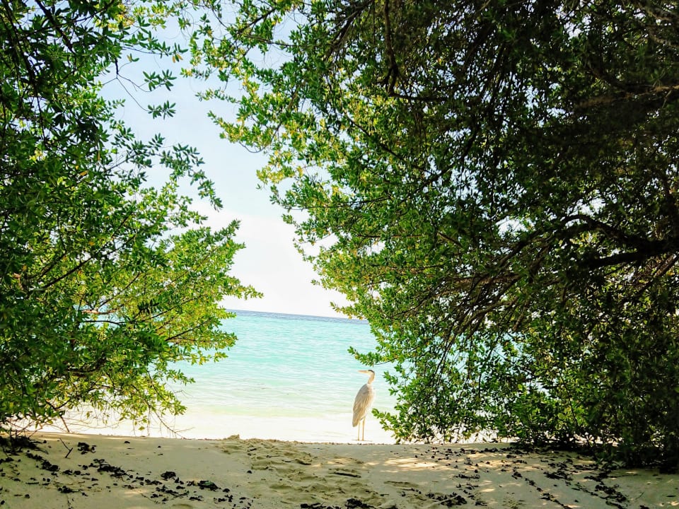 Strand Embudu Village