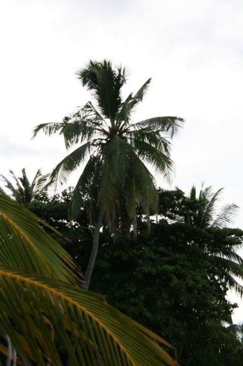 Sonne -Regen Kuramathi Maldives