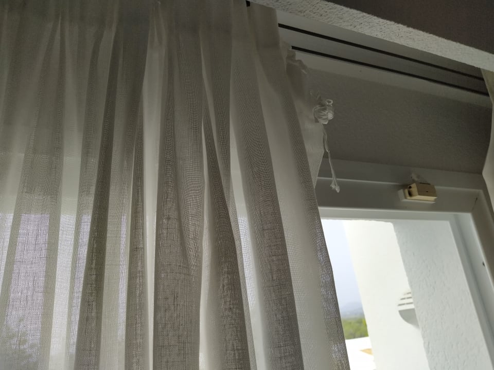 Zimmer blau punta reina