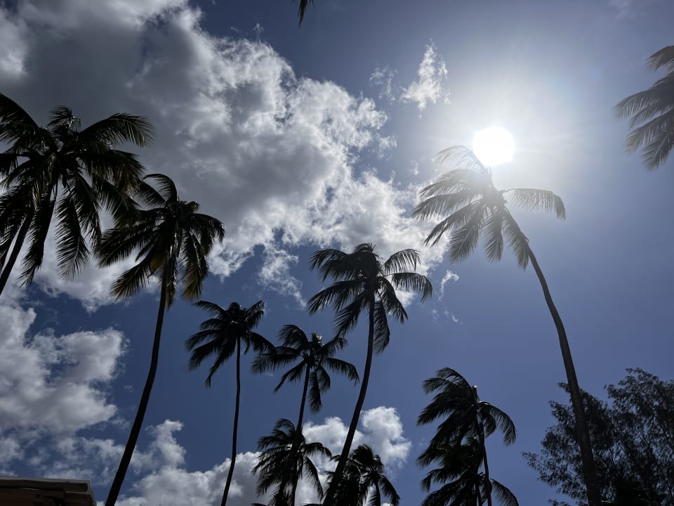 Ausblick TUI Blue Bahari Zanzibar