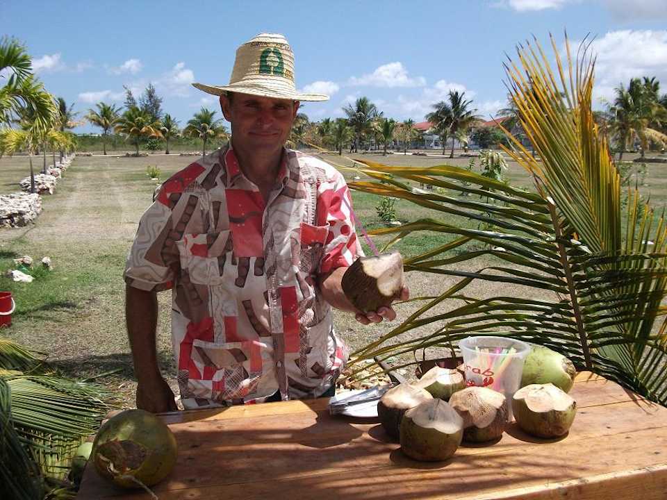 Frische Kokosnüsse Hotel Playa Pesquero