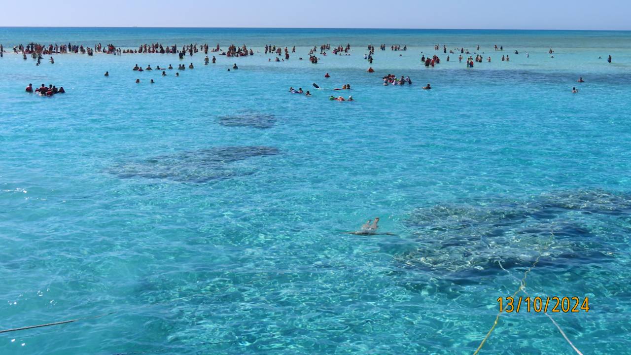 Sonstiges Grand Rotana Resort & Spa