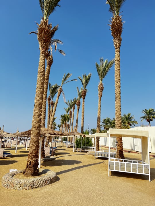 Strand Pickalbatros Alf Leila Wa Leila Resort - Neverland Hurghada