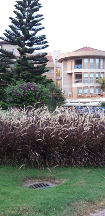 Garten TUI BLUE Xanthe