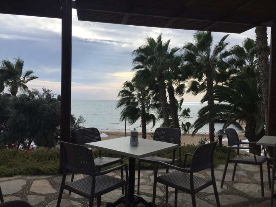 Gastro Arum Barut Collection