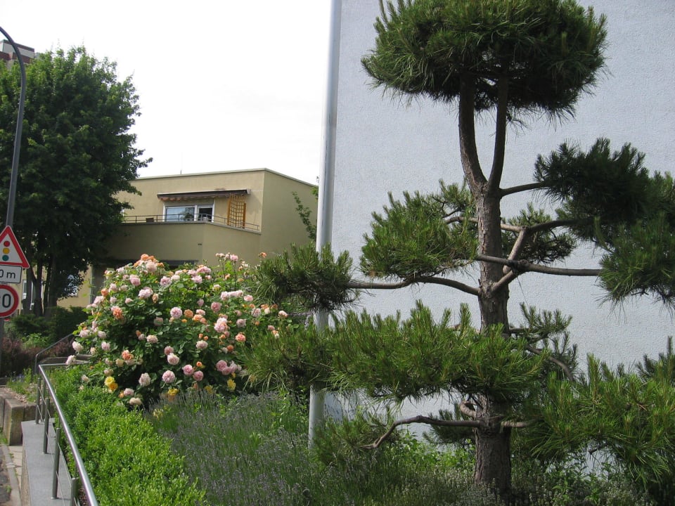 Garten Hotel Lindleinsmühle