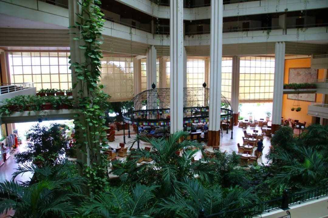 Blick auf die Bar Blau varadero - Adults only