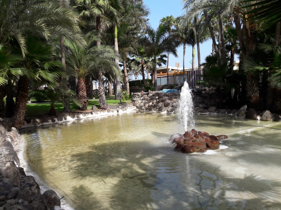 Gartenanlage Hotel Riu Palace Oasis