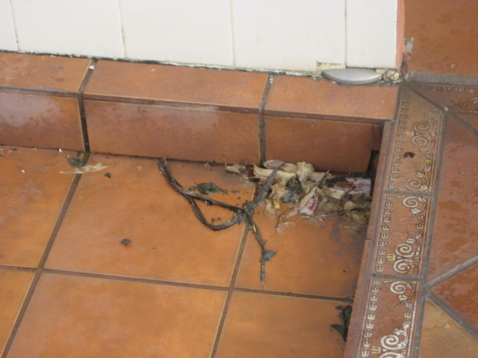 Duschbereich - lag mehrere Tage dort Sunny Village