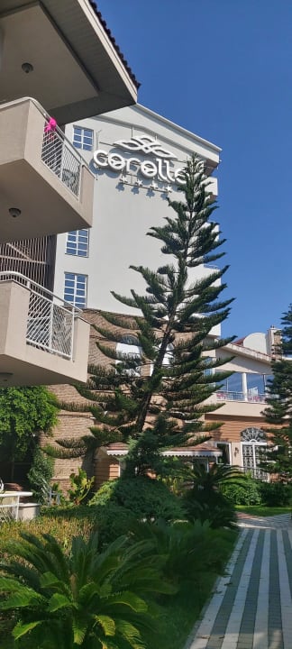 Gartenanlage Seaden Corolla Hotel