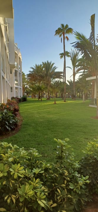 Gartenanlage Hotel Riu Gran Canaria
