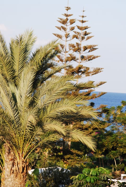 Ausblick Crystal Springs Beach Hotel