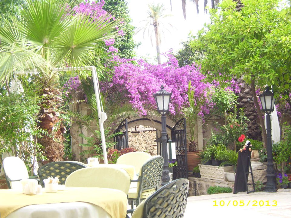 Speisen unter Palmen und Orangenbäumen  Dogan Hotel by Prana Hotels & Resorts