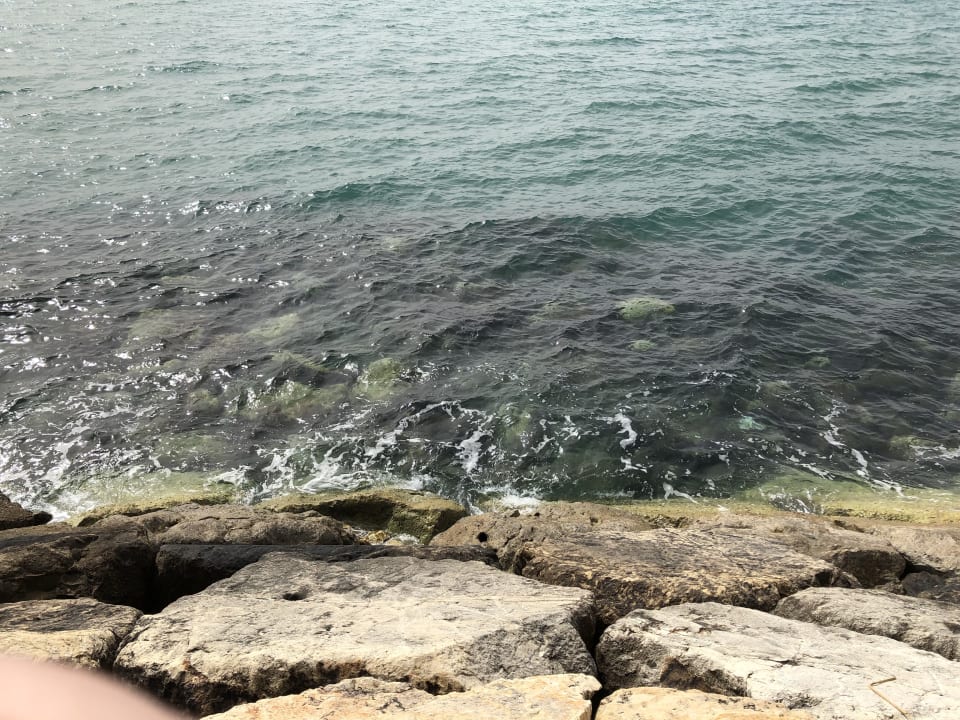 Strand Hane Family Resort