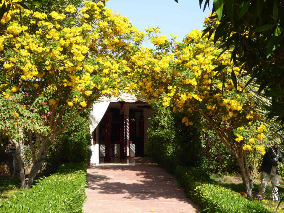 Gartenanlage Fantazia Resort Marsa Alam
