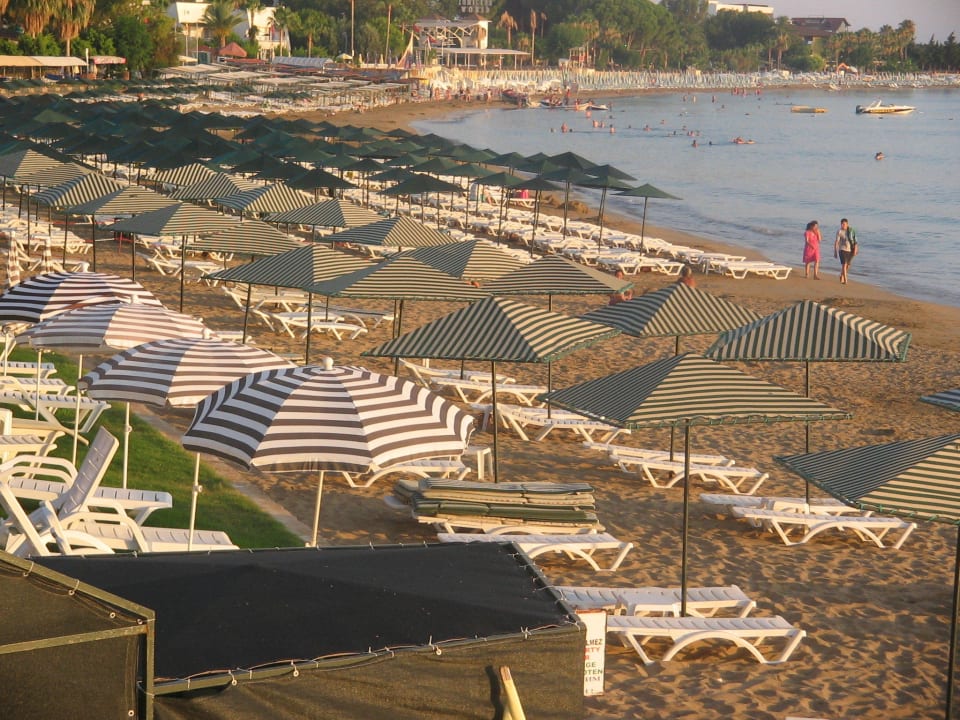 Super gepflegt Aska Hotel Just in Beach