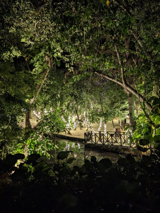 Gartenanlage Secrets La Romana Resort & Spa - Adult Only