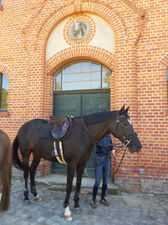 Außenansicht Ferien & Pferdehof Gut Klein Nienhagen