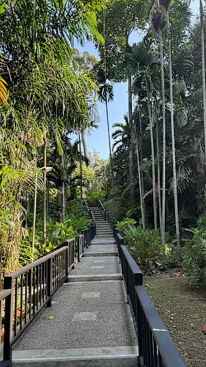 Gartenanlage Moracea by Khao Lak Resort