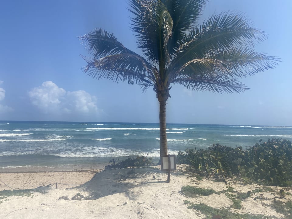 Strand Bahia Principe Grand Tulum