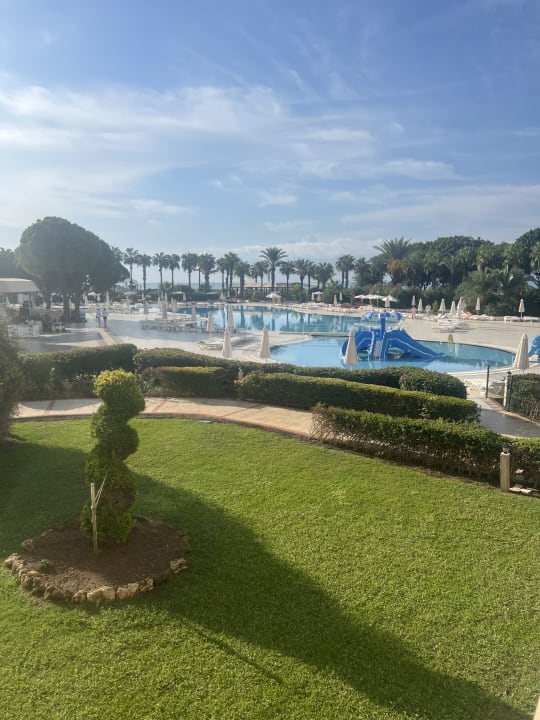 Pool Green Max Hotel