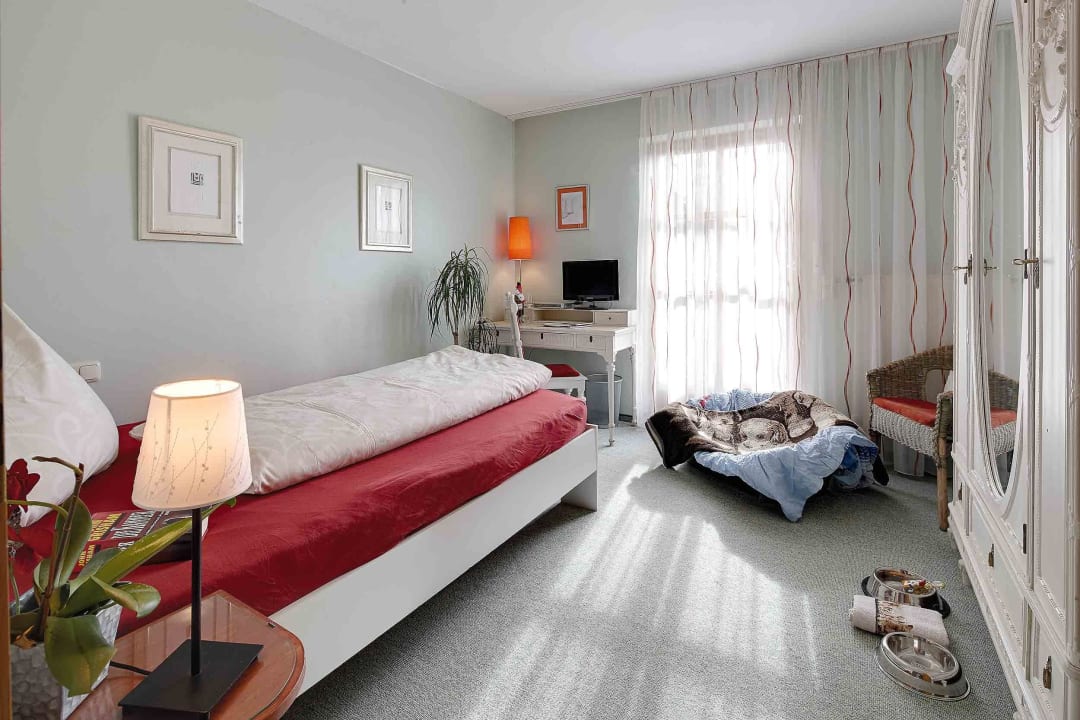 Zimmer mit Hund World of Animals 4 Pfoten Resort