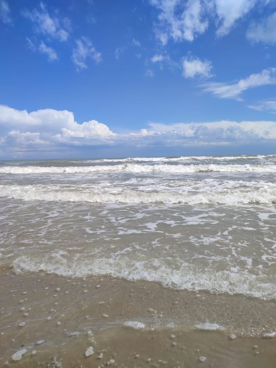 Strand MIMOSE Lido Altanea