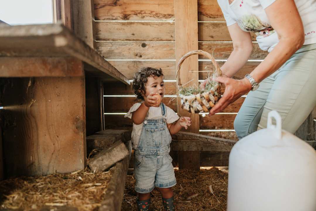 Sport & Freizeit Ferienwohnungen Hattlerhof