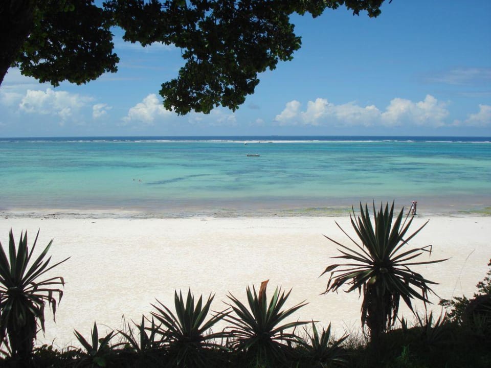 Strand bei Ebbe Baobab Beach Resort & Spa