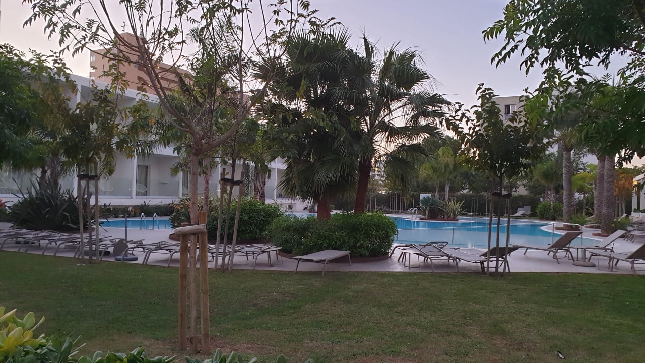 Pool BG Hotel Caballero