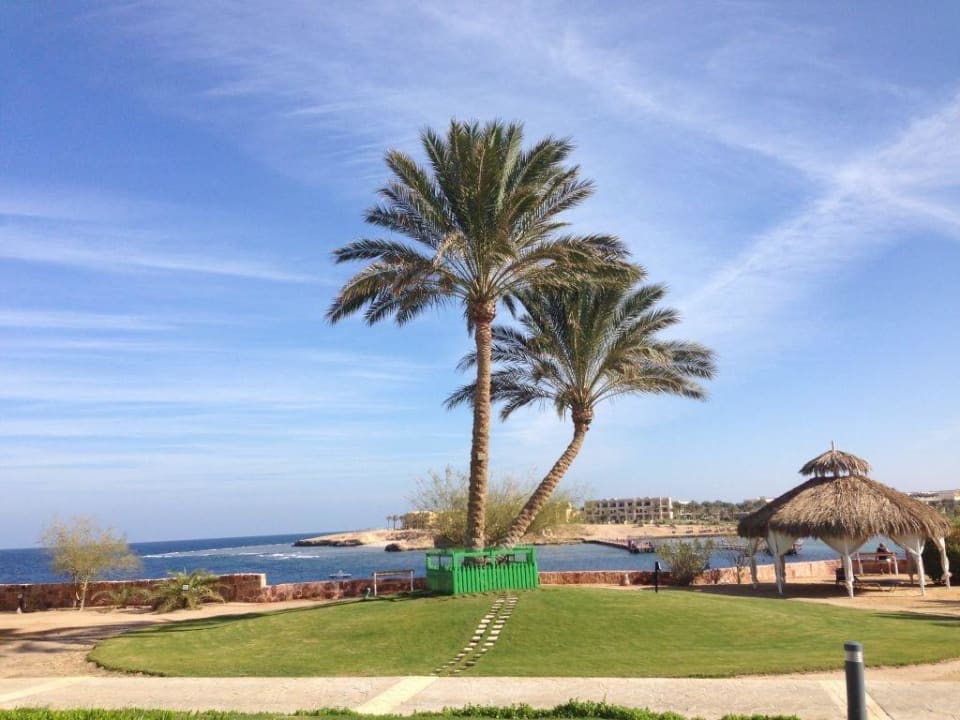 Blick zur Bucht Steigenberger Coraya Beach - Adults only